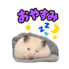 yukinkotarou