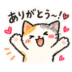 CUTY CAT Chan