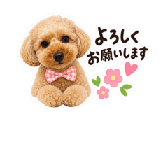Culala_20260826235617