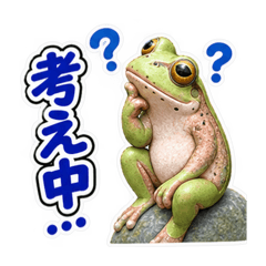 Shin_20260826235433