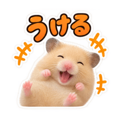 Hamuko the Hamster
