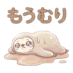 Shibakoro_20260827002455