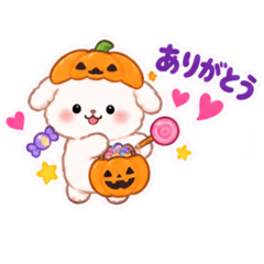 335chan_20260827004243