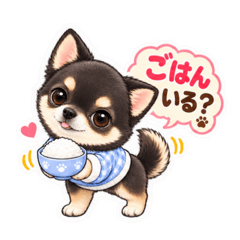 YUMI_20260827012505