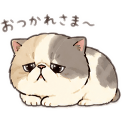 Acchan_20260827015115