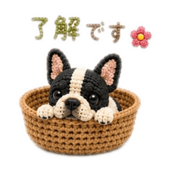 lily_20260826224417