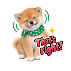 Japanese Mame Shiba8