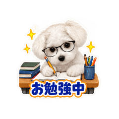 aoi_20260827064155