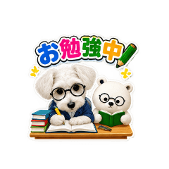 aoi_20260827065347