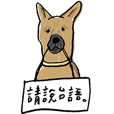 Please speak Taiwanese - Mix dogs