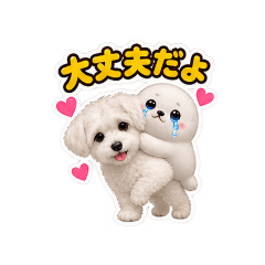 aoi_20260827070624