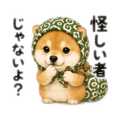Shiba: Nothing Suspicious