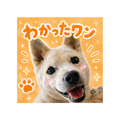 aki_20260827073437
