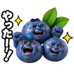 ponnkotu_20260827074026