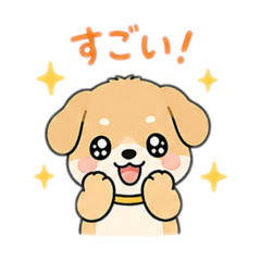 dog 5