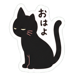 Aloof Black Cat, Secretly Fond