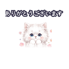 JONDA Cat: Foot Care & Daily Life