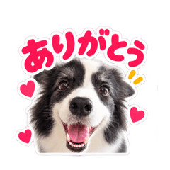 yudofuchan_20260827094406
