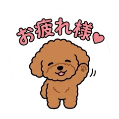 xoxo_20260827095457