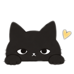 Nora_20260827095445