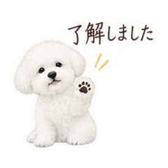 bichon stickers