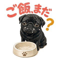 Ohagi's daily!