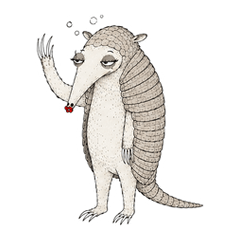 The Odd Armadillo