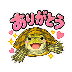 N.taro_76825