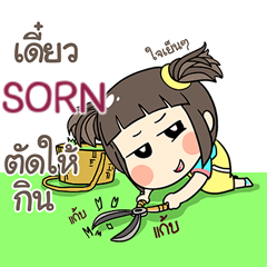 SORN kao-soi e