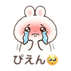 Shibakoro_20260826235937