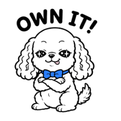 own it , rock you