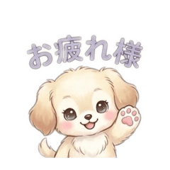 xoxo_20260827000115
