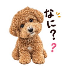 wagaya_20260827073521