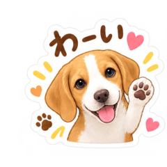 kakerukakero_20260827111224