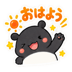 Plump Malayan Tapir