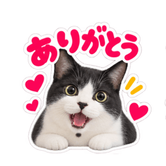 yudofuchan_20260827111907