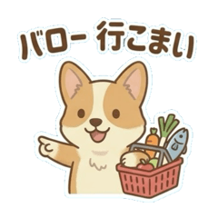 Corgis and the Tono dialect2
