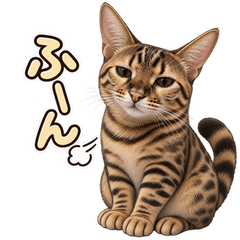 Cute Cat, Cold Reactions