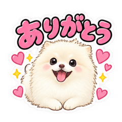 N.taro_20260827112211