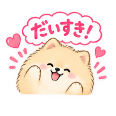 shamo_20260827003250