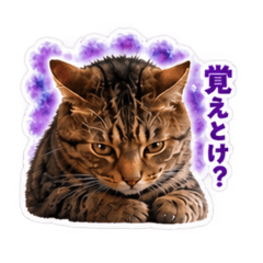 mst_20260827023754