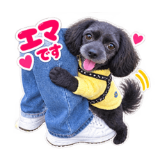 IKKI_20260827022707