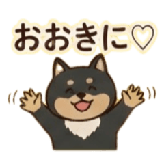 japanshibakansai