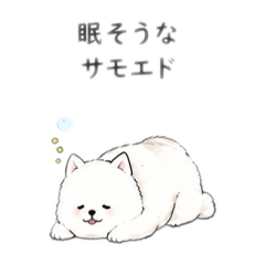 Sleepy Samoyed | 40 Daily Use Stamps