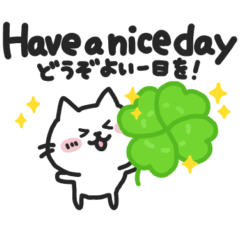 Polite & Caring Cat for Everyday Use