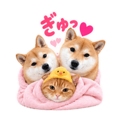 namari_20260827004619