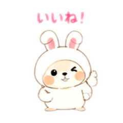 yuzuaya_20260827005409