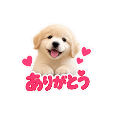 Lumie_20260827004754