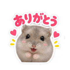 Puta-kun the Hamster