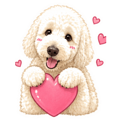 Roy the Goldendoodle